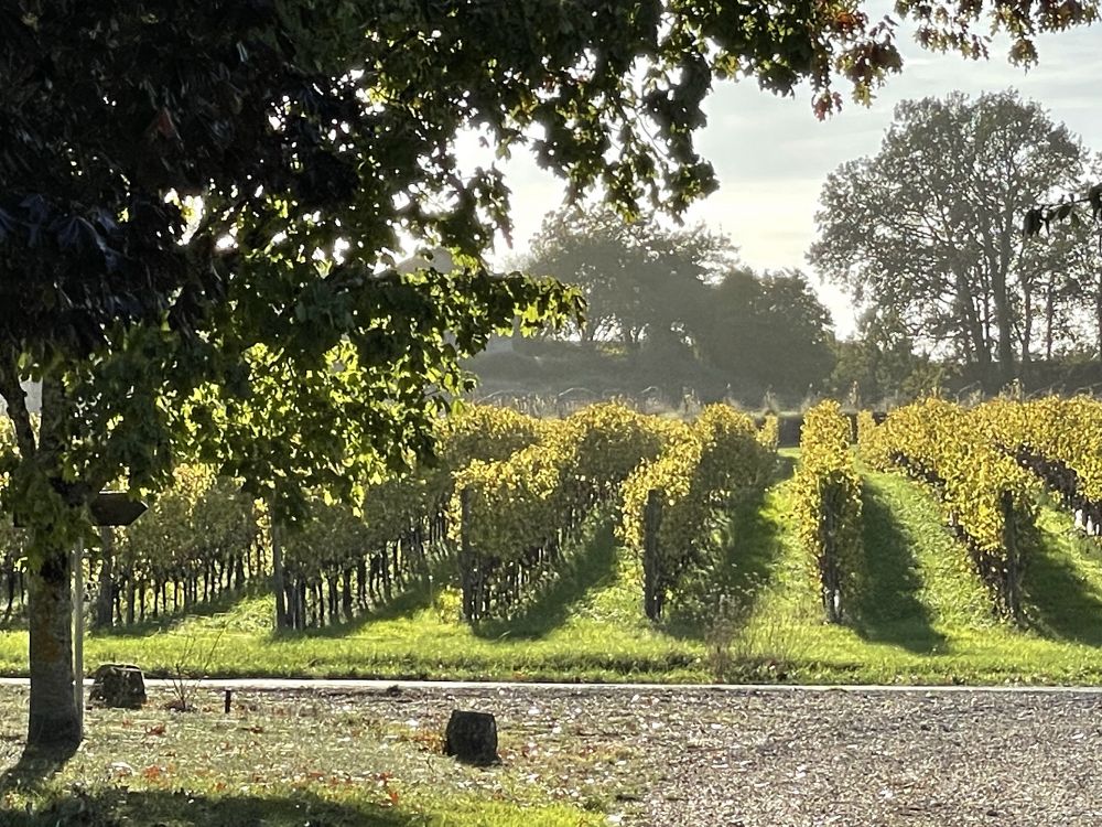 Wine Tasting Dordogne Autumn